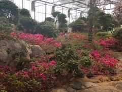 -南通洲际绿博园