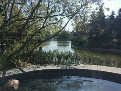 -芭东小镇温泉