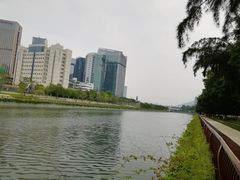 -大沙河公园