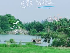 -瑶湖郊野森林公园