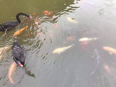 -芭东小镇温泉