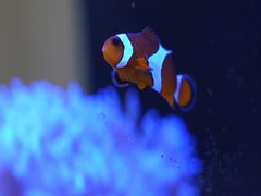 -Rabbit Cafe私房西餐甜点咖啡(栖霞路店)