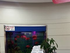 -雅悦齿科(顾村公园店)