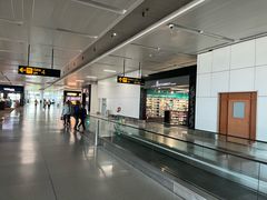 -英迪拉·甘地国际机场