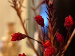 -成桂西餐厅·42年的味道(五大道疙瘩楼店)