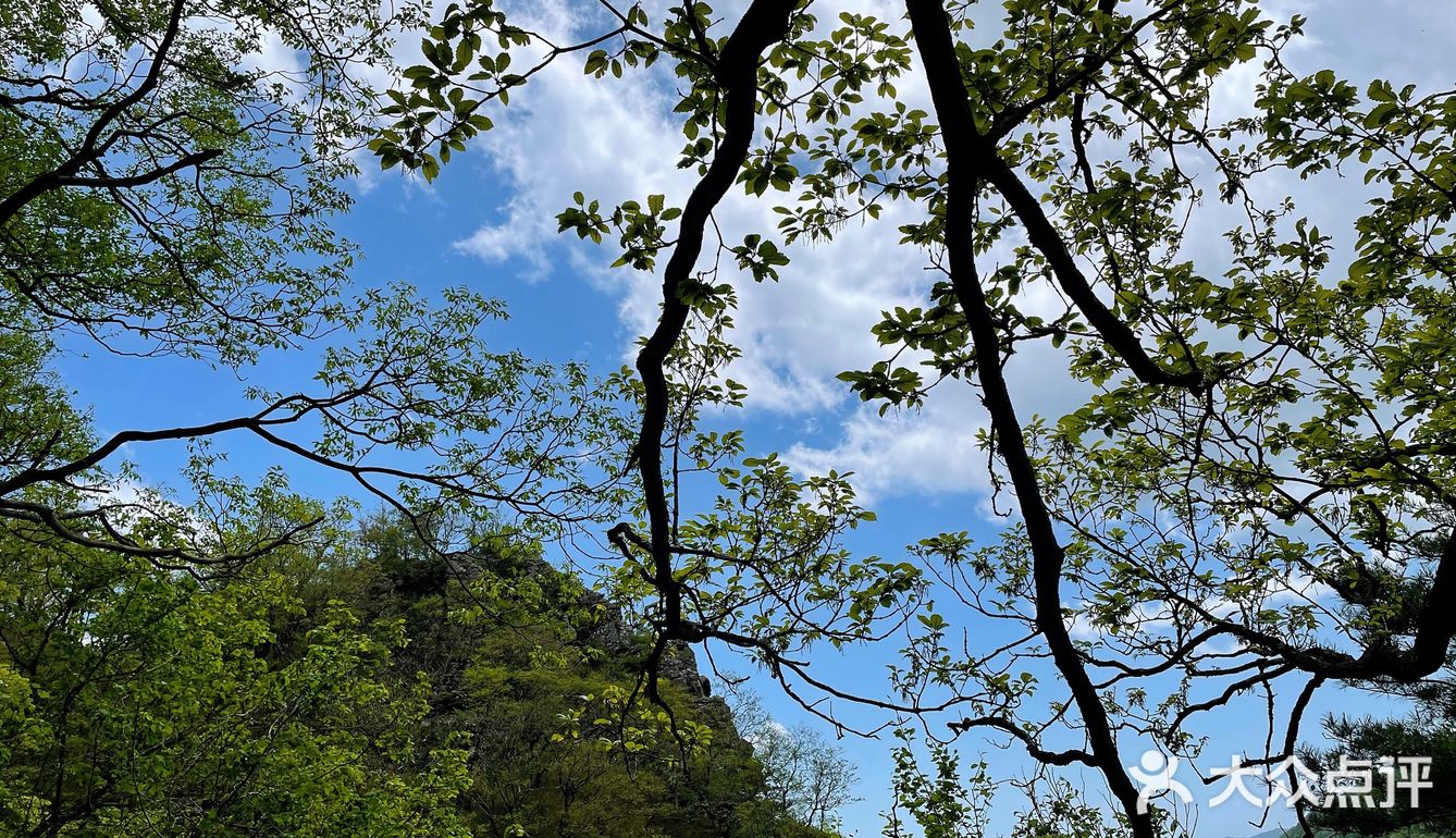 牛背梁国家森林公园