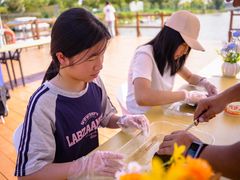 -苏州太湖西山岛开心农场