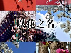 -潭柘寺景区
