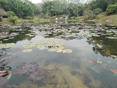 -云溪植物园