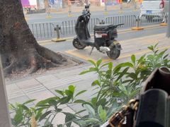 -强记海鲜·大排档(蛇口新街店)