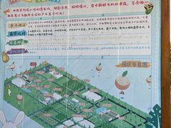 -前小桔亲子创意农场·草莓采摘·露营烧烤