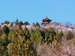 -白水寺森林公园