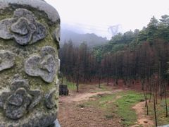 -广州市帽峰山景区