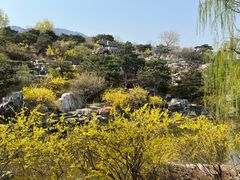 -北京西山国家森林公园