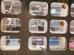 -藦茜花园宠物主题亲子互动体验馆(国顺东路店)