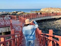 -养马岛旅游度假区