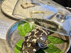 -ONE FULL 古董港式海鲜火锅