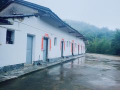 -大本营竹筒饭