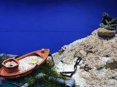 -海合安成都极地海洋公园
