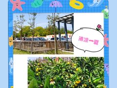 -前小桔亲子创意农场·草莓采摘·露营烧烤