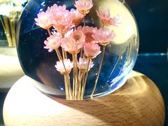 -天空音乐盒(五道营胡同店)