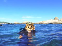 -亚龙湾海底世界