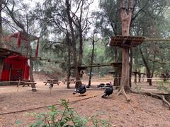 -漳州滨海火山岛自然生态风景区