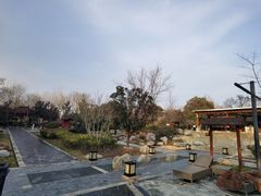 -思念果岭悦温泉