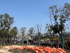 -武汉动物园