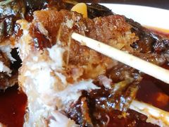 -津菜宋记老房子(鼓楼店)