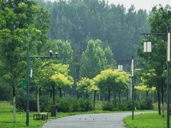 -张家湾公园