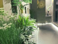 -施奈儿.洗头頭療.按摩SPA.采耳(上梅林店)