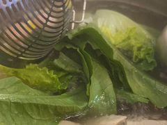 -陈记顺和牛肉火锅馆(林乐路店)