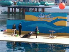 -秦皇岛乐岛海洋王国