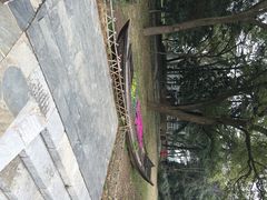 iphone_upload_pic-东湖落雁景区