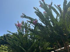 -石排湾郊野公园
