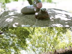 -南通洲际绿博园