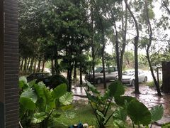 -锦湖农庄(松山湖梦幻百花洲店)