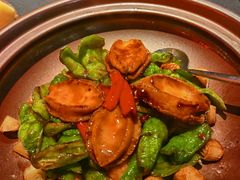 螺丝辣椒炒鲍鱼-鲁采LU STYLE(新天地店)
