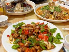-煲来饱去冷水鱼