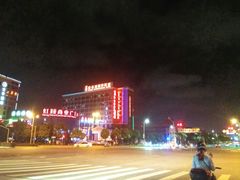 -维也纳国际酒店·上海虹桥火车站国家会展中心店