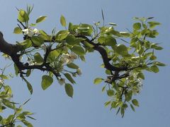 -白沙门生态公园