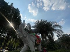 -云南民族村