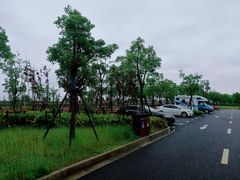 -春花秋色城市公园