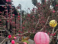 -桃源山庄·水蜜桃采摘·柴火鸡·烧烤团建(龙泉山店)