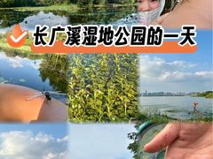 -长广溪湿地公园