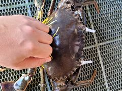 -考记泥焗鸡农庄·海鲜(北洛秘境店)