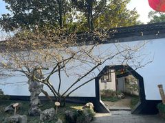-上海醉白池公园