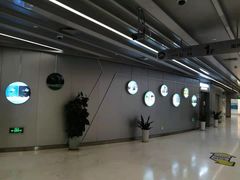 -上海市东方医院(总院)