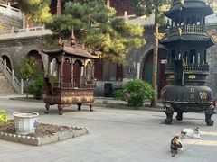 -晋祠公园